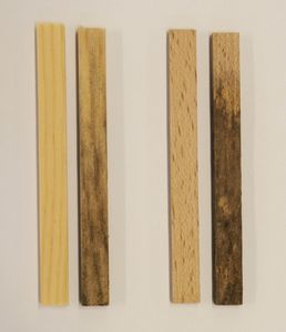 Dargestellt sind je 2 Kiefer- (links) und Buche- (rechts) Holzprobe, wobei der linke Prüfkörper unbehandelt und der rechte für 10 Tage nach DIN V ENV 807 (Moderfäule) belastet wurde.