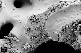 SEM image of a calcium carbonate containing PU-foam