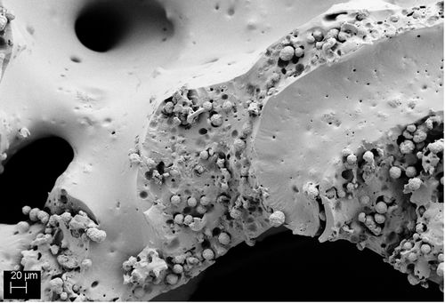 SEM image of a calcium carbonate containing PU-foam