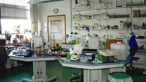 Laboratories in the new building of INNOVENT (2001)