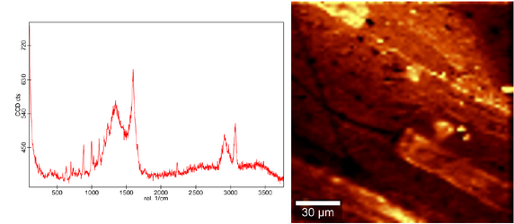 Shown are a Raman spectrum and an AFM image of a black plastic pellet.