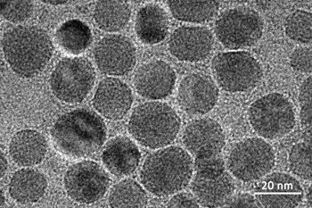 SEM image of magnetic nanoparticles