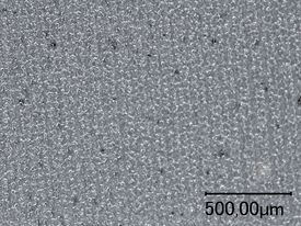 Shown is a microscopic image of polypropylene coated with a primer after laser treatment.