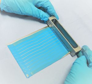 The illustration shows the gradient squeegee Squeegee for investigating the flow of coatings in use. A blue varnish in different layer thicknesses is applied in strips to a sheet metal.